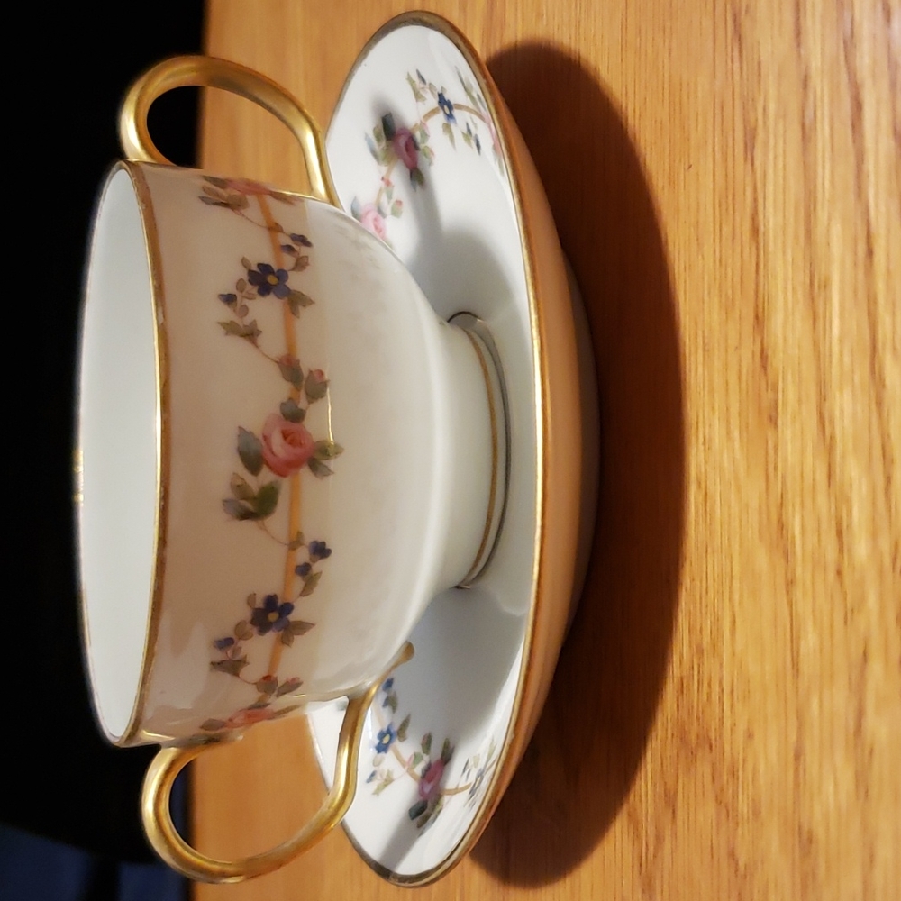 Vintage Wm Guerin Co. Limoges France teacup and saucer